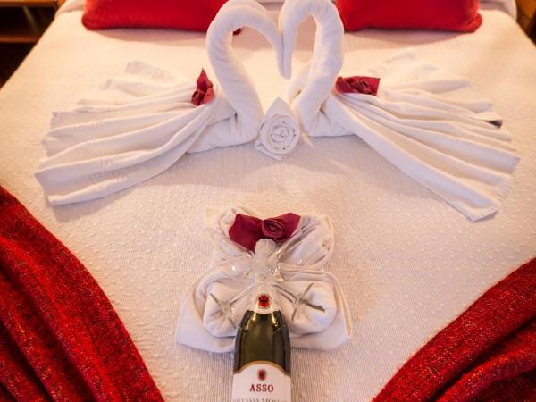 Hotel Arangues : photo 8 de la chambre offre spéciale - chambre double romantique