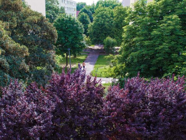 Nexus Vendégház Szeged : photo 9 de la chambre appartement standard