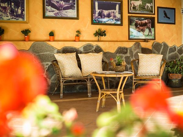 Agriturismo Barbagia : photo 8 de la chambre chambre double ou lits jumeaux standard