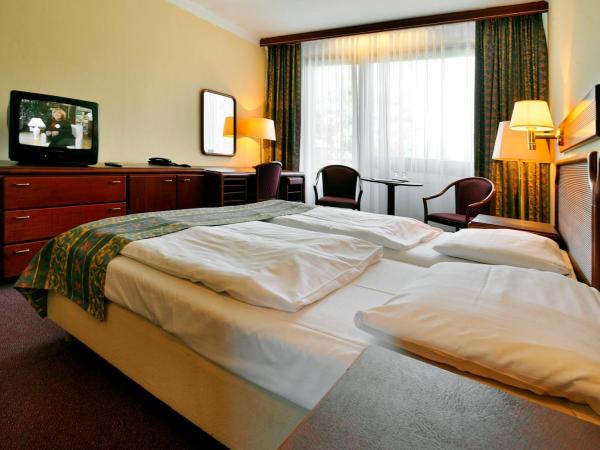 Hotel Krakonoš : photo 2 de la chambre chambre double ou lits jumeaux