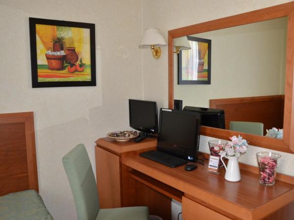 Hotel Mia Cara & Spa : photo 1 de la chambre chambre simple Économique