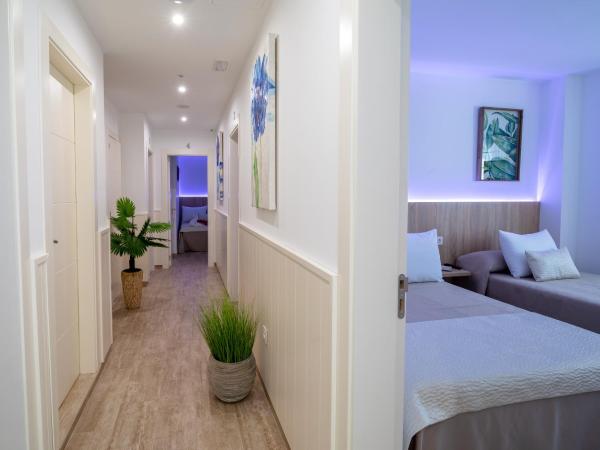 Petit Malaga Congress : photo 7 de la chambre chambre lits jumeaux