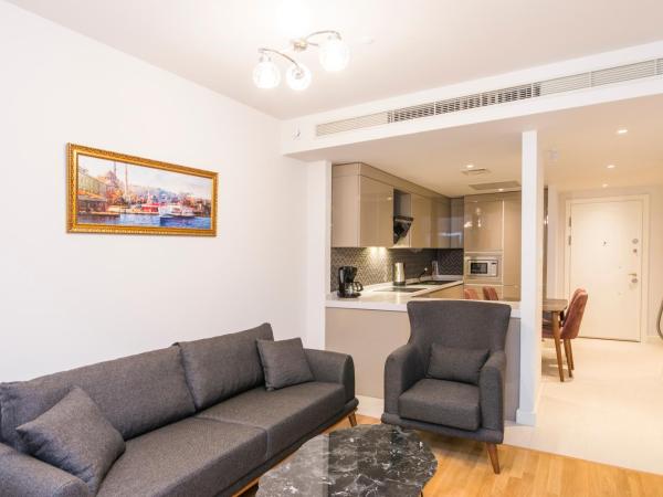 Classy Suite Taksim : photo 4 de la chambre appartement 2 chambres