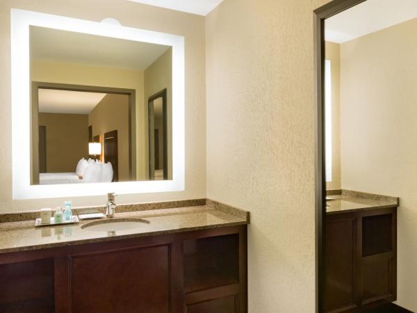 Wyndham New Orleans French Quarter : photo 1 de la chambre chambre double avec 2 lits doubles - non-fumeurs