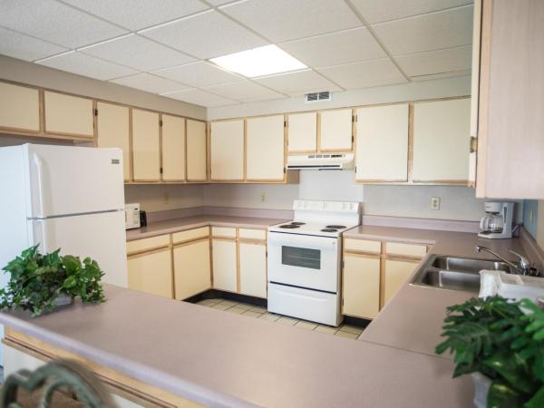 Tropical Seas Hotel : photo 6 de la chambre suite deluxe avec lit king-size