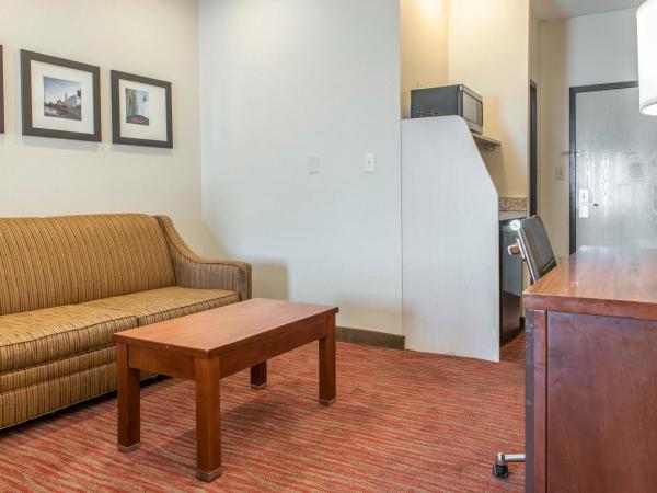 Comfort Suites : photo 1 de la chambre suite lit king-size avec canapé-lit - non-fumeurs