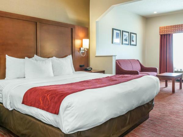Comfort Suites : photo 6 de la chambre suite lit king-size avec canapé-lit - non-fumeurs