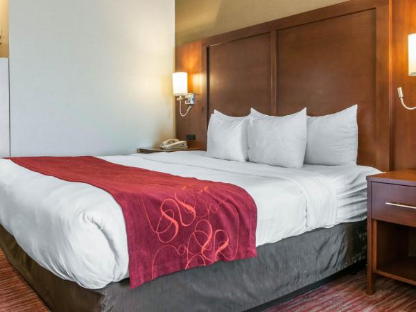 Comfort Suites : photo 3 de la chambre suite lit king-size avec canapé-lit - non-fumeurs