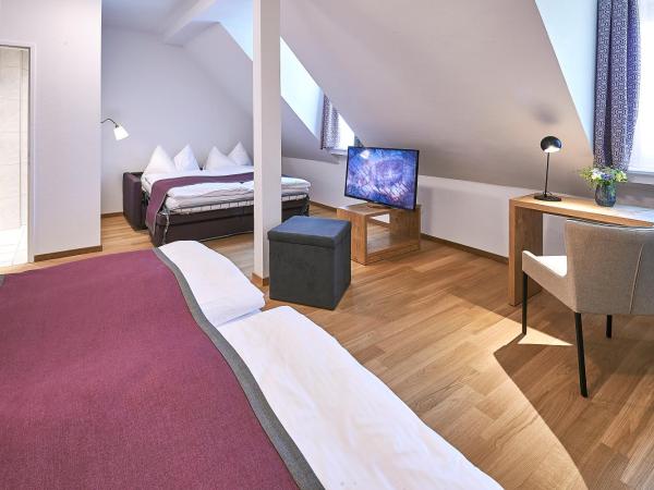 Hotel Central Luzern : photo 2 de la chambre chambre familiale standard