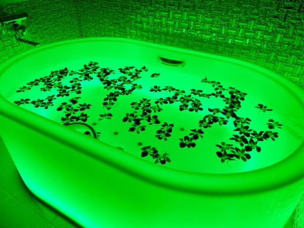 Hotel Eldia Luxury Kobe (Adult Only) : photo 3 de la chambre chambre double deluxe