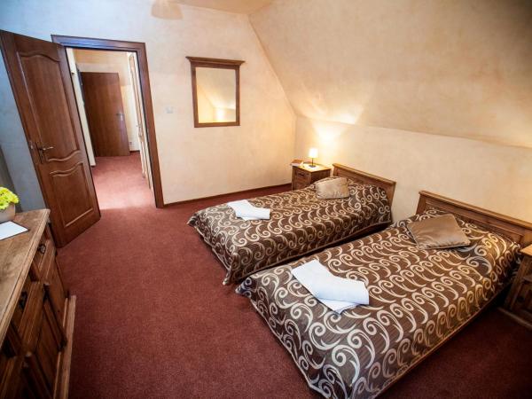Hotel Dwór Karolówka : photo 10 de la chambre studio