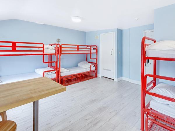 Astor Kensington Hostel : photo 2 de la chambre lit dans dortoir mixte de 8 lits avec salle de bains privative