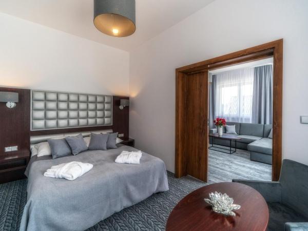 Sądelski Dwór Medical & SPA : photo 5 de la chambre appartement