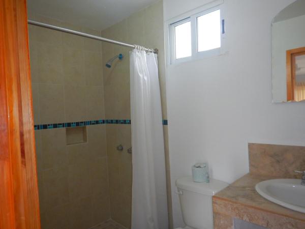 Blue Coconut Cancun Hotel : photo 7 de la chambre chambre lits jumeaux avec salle de bains privative