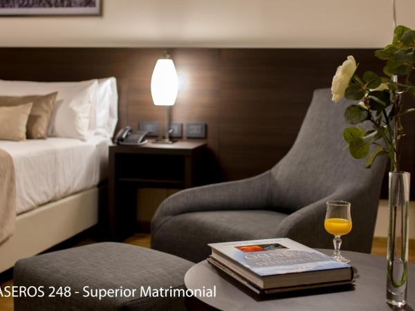 Caseros 248 Hotel : photo 8 de la chambre chambre double supérieure