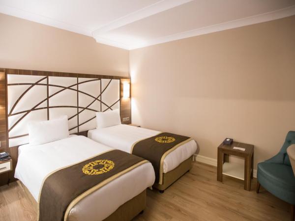 The Grand Mira Business Hotel : photo 4 de la chambre chambre double standard
