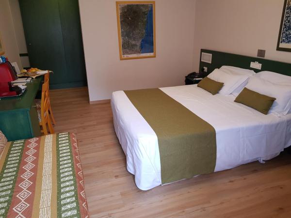 Best Western Hotel Mediterraneo : photo 5 de la chambre chambre double affaires