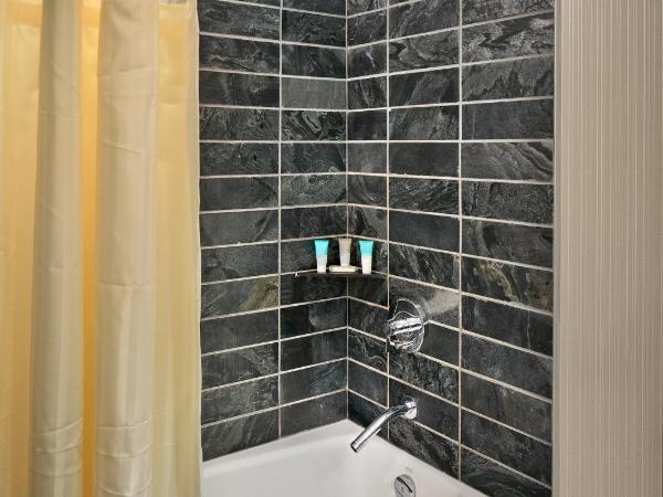 Hyatt Regency Vancouver : photo 7 de la chambre suite 1 chambre