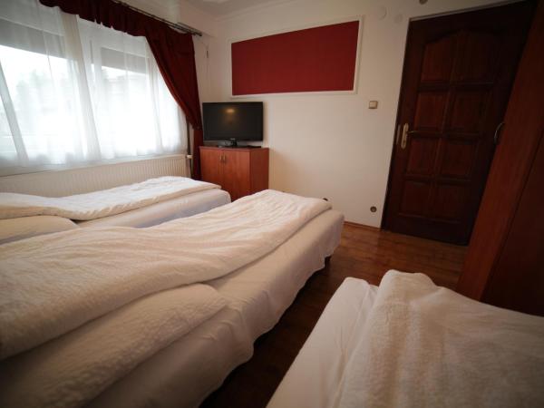 Eged Vendégház : photo 9 de la chambre appartement (8 adultes)