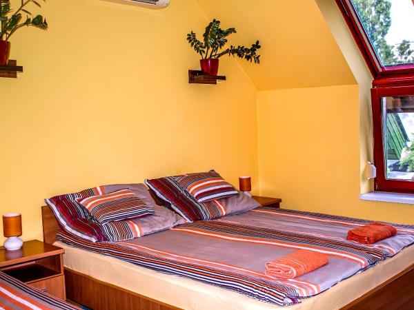 Nexus Vendégház Szeged : photo 2 de la chambre appartement 1 chambre