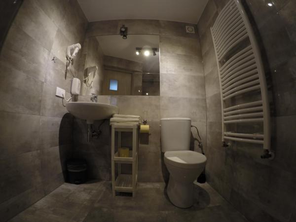 Villa Ventana Poznań City Free Parking 696-890-000 Śniadanie w Cenie : photo 8 de la chambre chambre lits jumeaux avec douche 