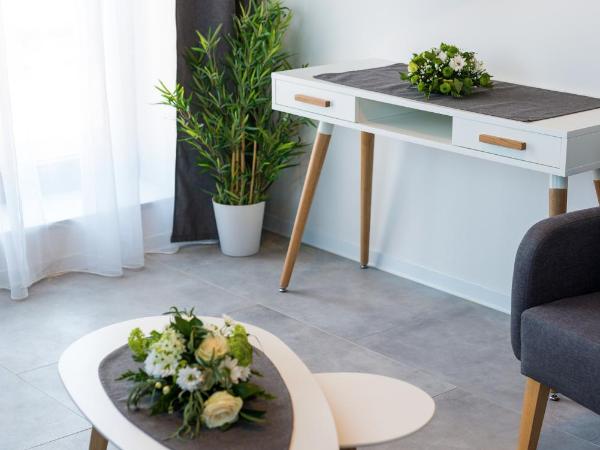 Residence Trafick : photo 10 de la chambre grand appartement avec terrasse