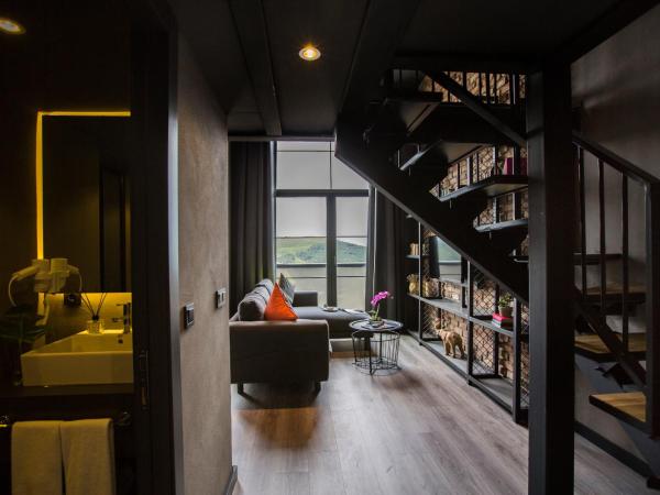 Cityloft 161 : photo 3 de la chambre loft