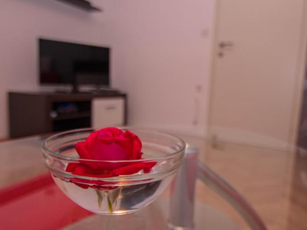 Guest House Ravnić : photo 3 de la chambre appartement 2 chambres avec patio