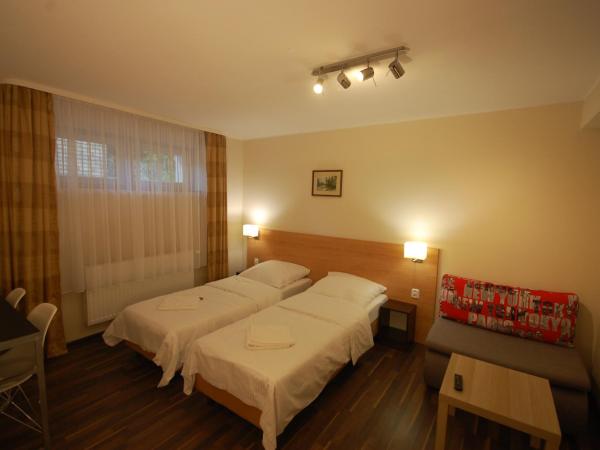 Hipnotic B&B : photo 1 de la chambre pokój dwuosobowy z dodatkowym łóżkiem w suterenie