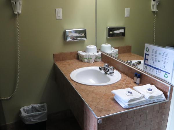 Hotel Le Voyageur : photo 7 de la chambre chambre standard lit queen-size