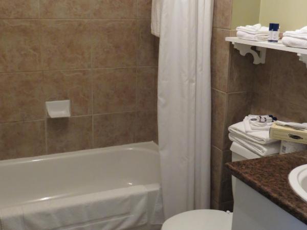 Hotel Le Voyageur : photo 3 de la chambre chambre double standard
