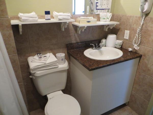 Hotel Le Voyageur : photo 5 de la chambre chambre double standard