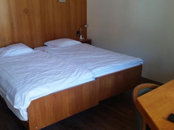 Motel des Sports Martigny : photo 10 de la chambre chambre double