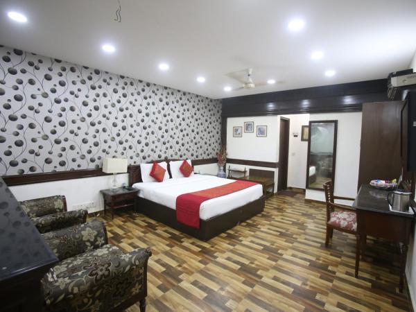 Hotel Amar Inn- Lajpat Nagar Central Market : photo 7 de la chambre chambre double supérieure