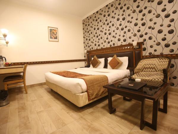 Hotel Amar Inn- Lajpat Nagar Central Market : photo 10 de la chambre chambre double ou lits jumeaux standard