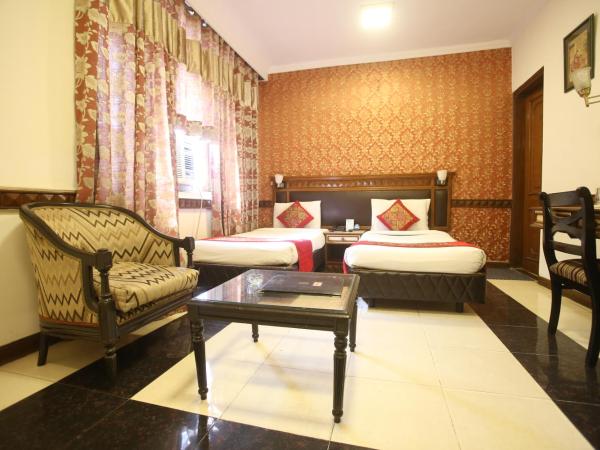 Hotel Amar Inn- Lajpat Nagar Central Market : photo 6 de la chambre chambre double ou lits jumeaux standard