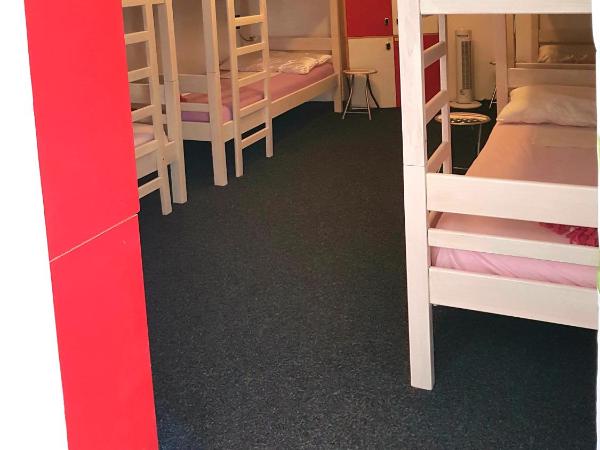 Crazy House Hostel : photo 2 de la chambre lit dans dortoir mixte de 8 lits