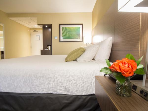 Victoria Inn Hotel and Convention Center Winnipeg : photo 8 de la chambre chambre premier avec 1 lit king-size