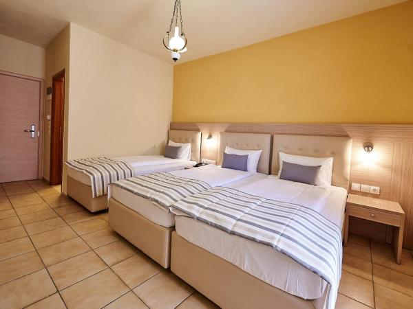 Thalia deco City & Beach Hotel : photo 1 de la chambre chambre triple