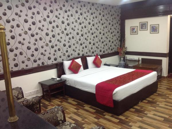 Hotel Amar Inn- Lajpat Nagar Central Market : photo 3 de la chambre chambre double supérieure