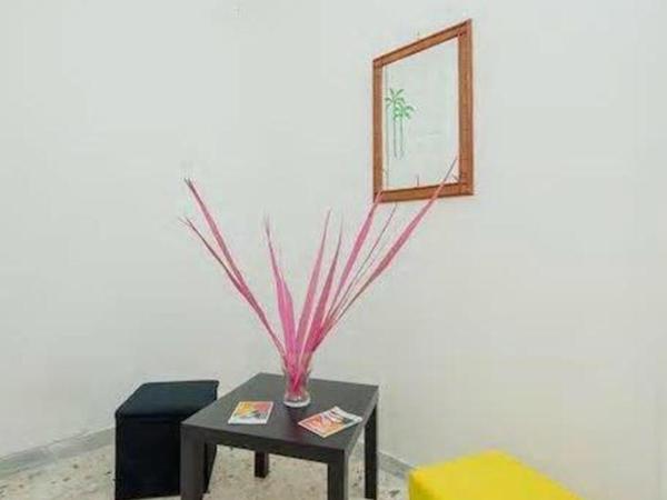 B&B Alexander : photo 8 de la chambre chambre simple avec salle de bains commune