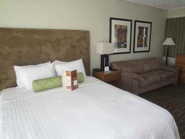 Surfer Beach Hotel : photo 8 de la chambre suite junior - vue sur océan