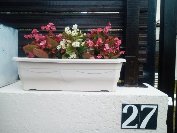 Hôtes de Libourne : photo 5 de la chambre chambre double - vue sur jardin