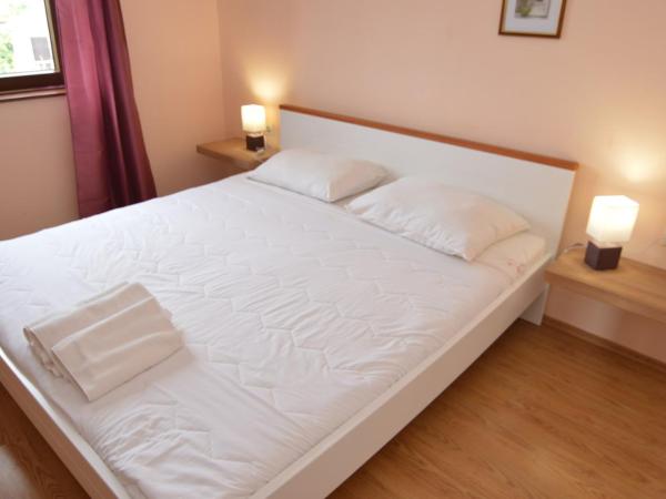 Apartments Vlado i Marino : photo 8 de la chambre appartement 1 chambre