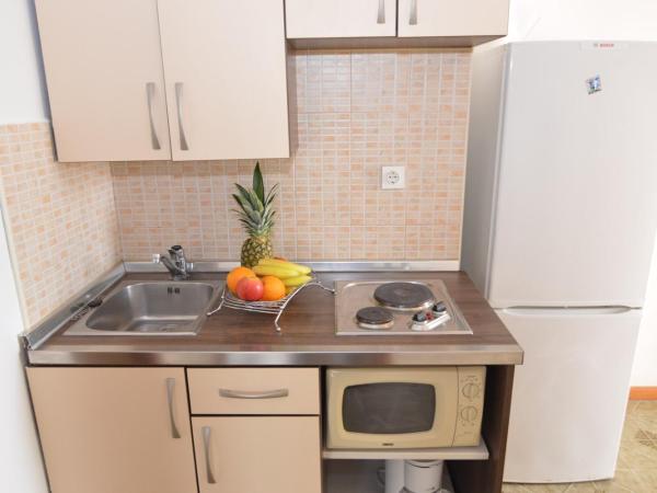 Apartments Vlado i Marino : photo 4 de la chambre appartement 1 chambre