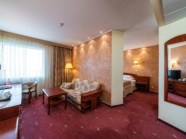 HP Park Plaza : photo 1 de la chambre studio