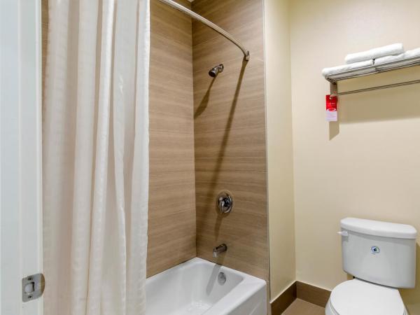 Econo Lodge Inn & Suites Houston Willowbrook : photo 8 de la chambre chambre familiale