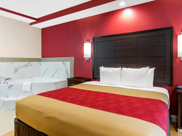 Econo Lodge Inn & Suites Houston Willowbrook : photo 2 de la chambre suite lit king-size avec jacuzzi