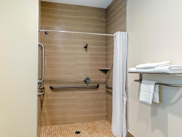 Econo Lodge Inn & Suites Houston Willowbrook : photo 10 de la chambre chambre familiale deluxe