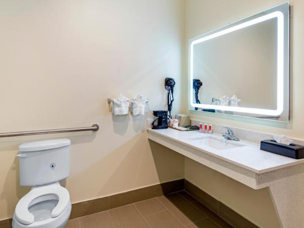 Econo Lodge Inn & Suites Houston Willowbrook : photo 3 de la chambre suite lit king-size